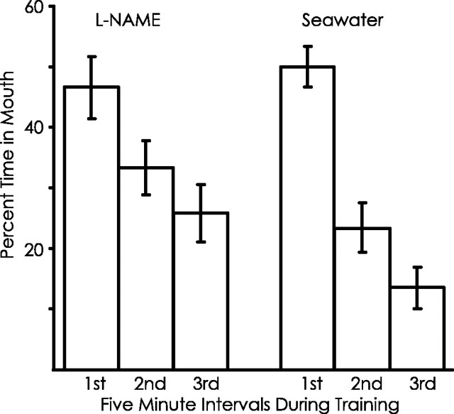 Fig. 13.