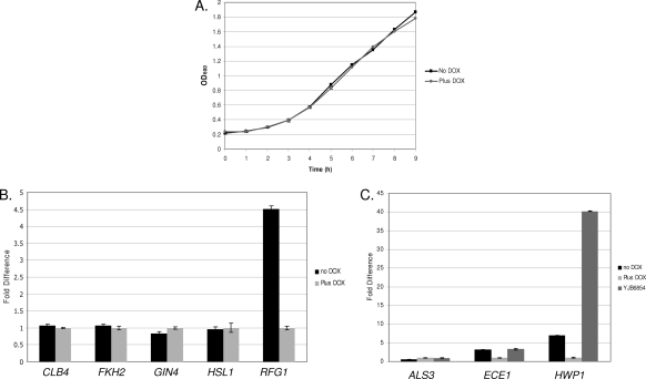 Fig. 8.