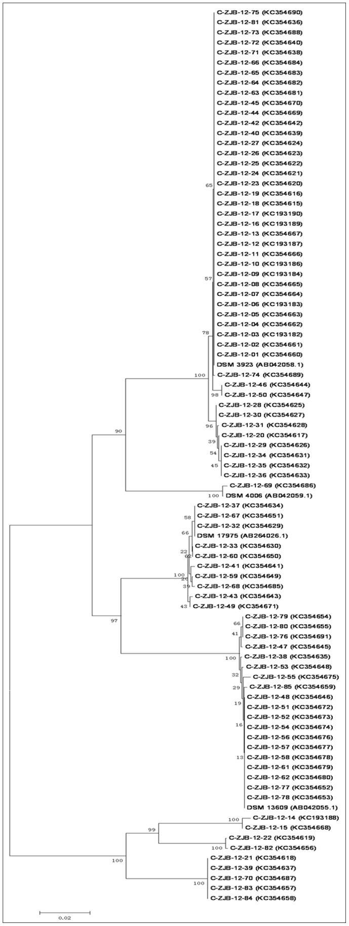 Figure 2