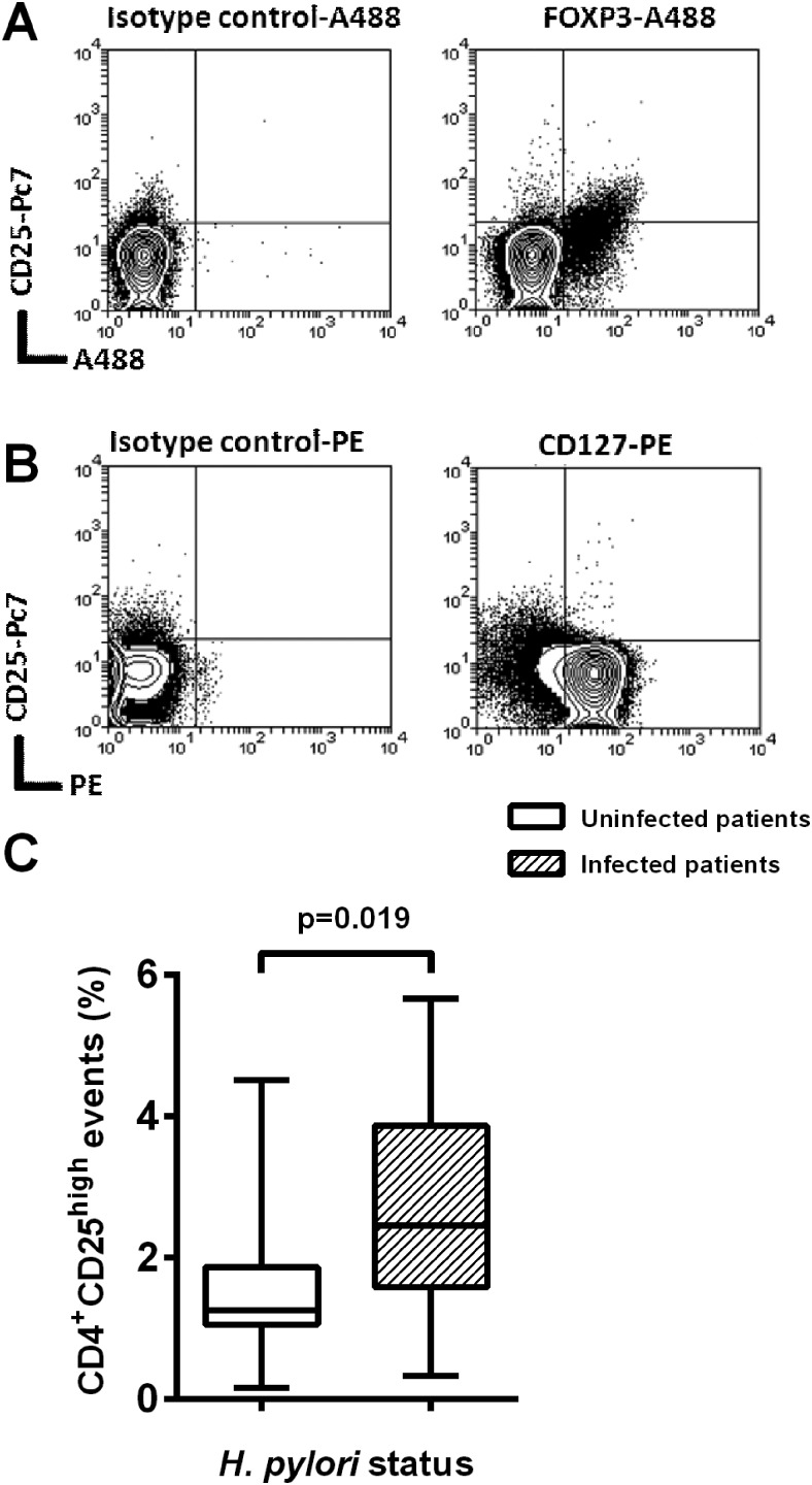 Figure 2