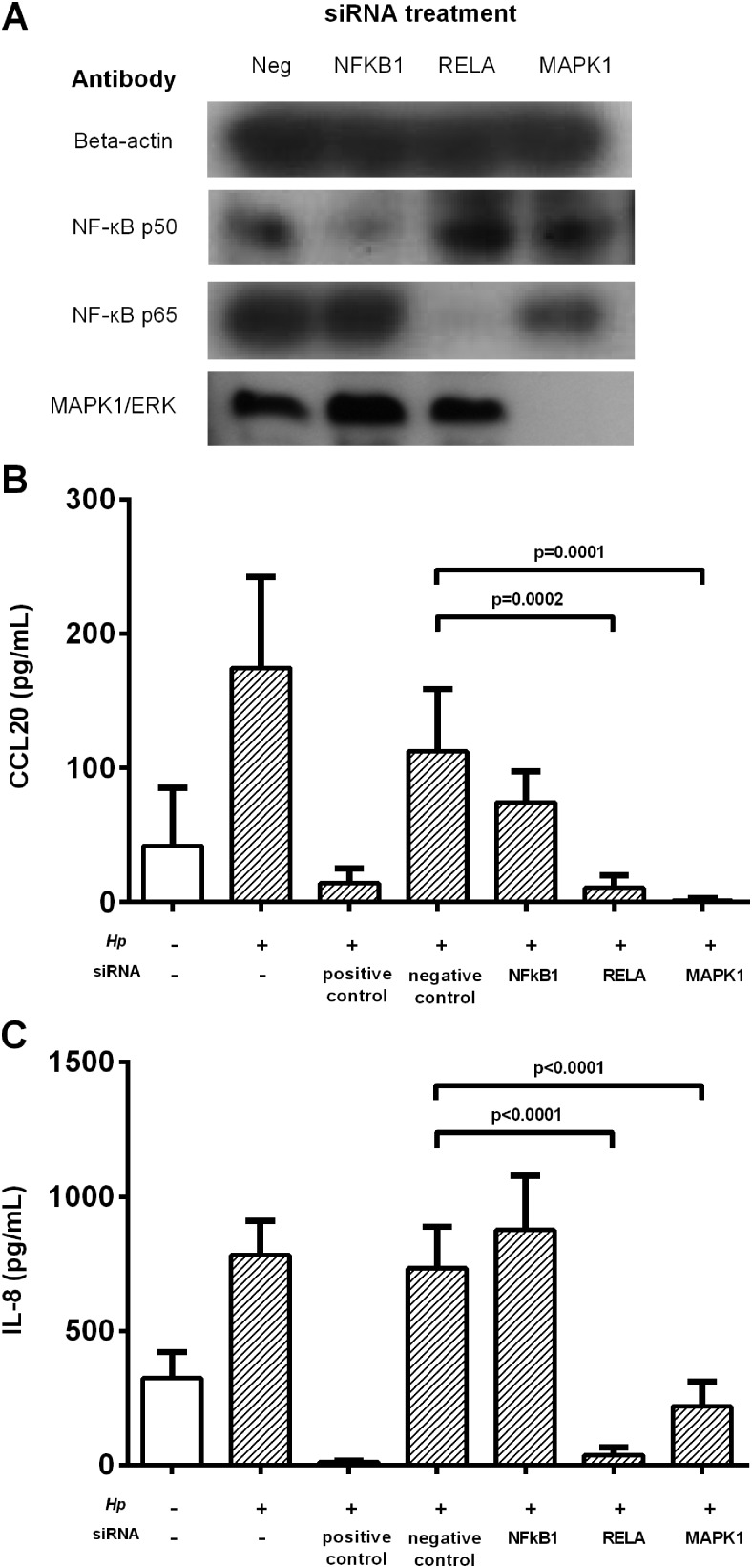 Figure 6