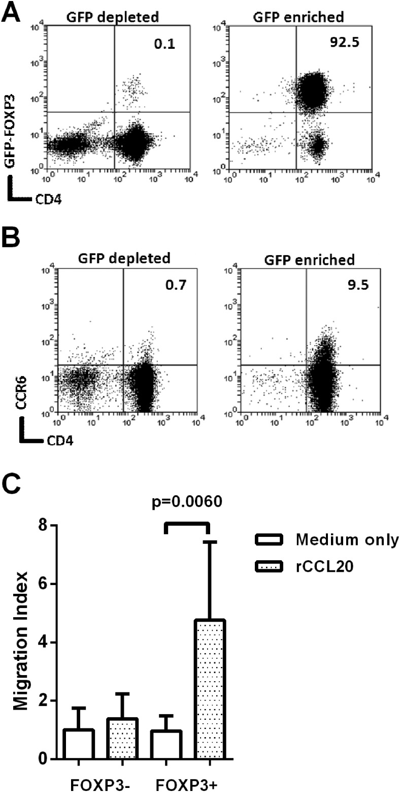 Figure 7