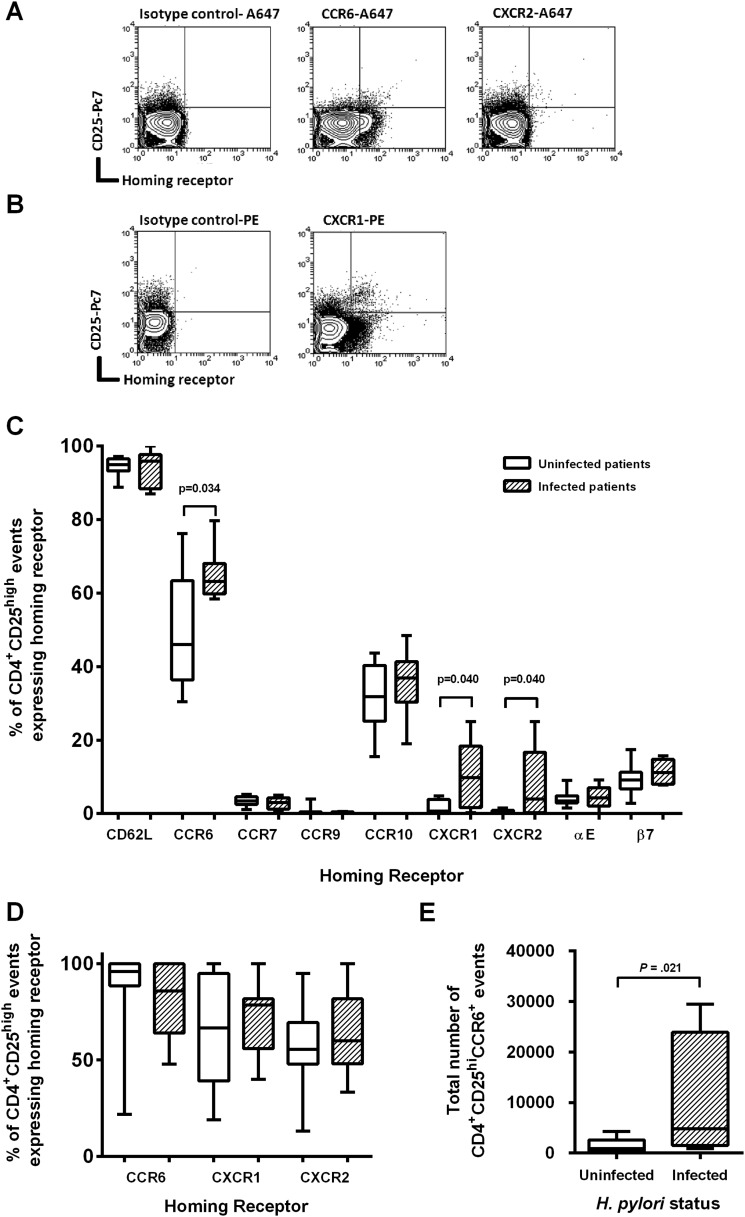 Figure 3