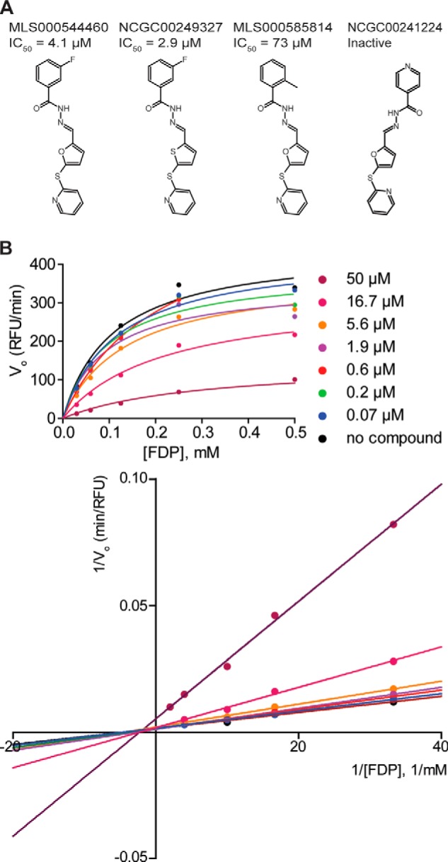 FIGURE 1.