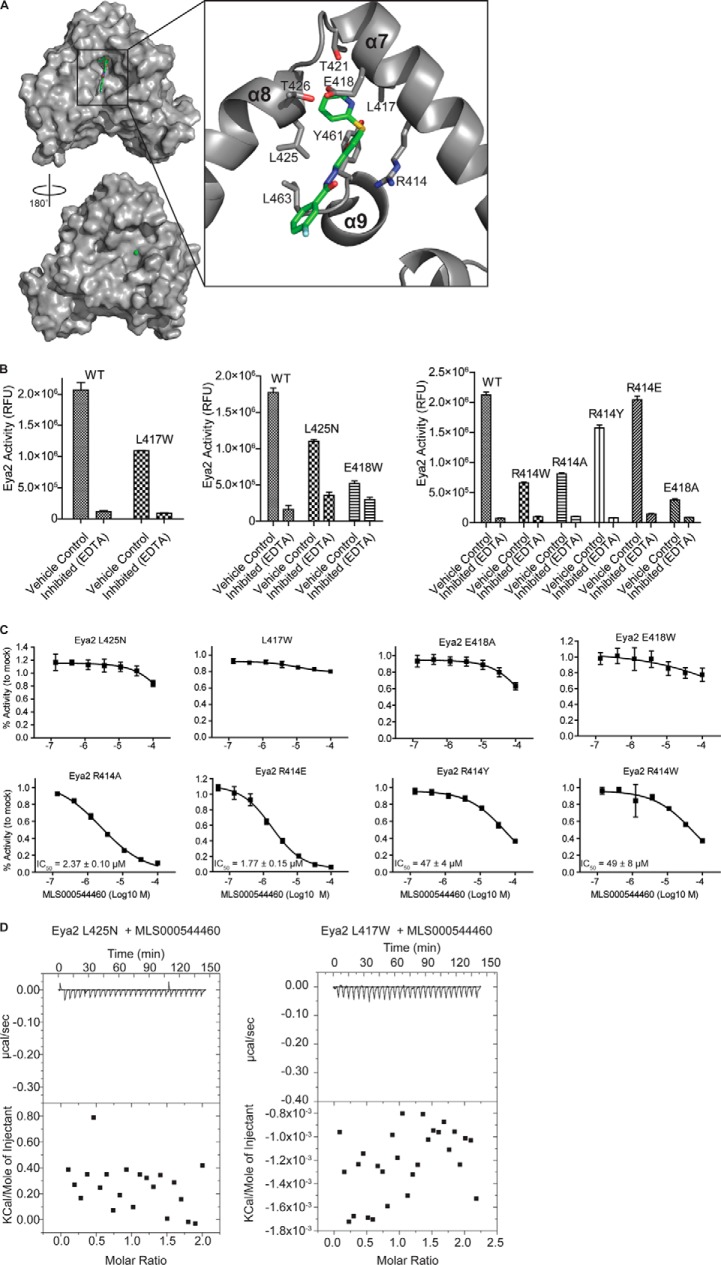 FIGURE 10.