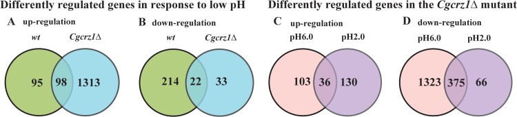 FIG 4