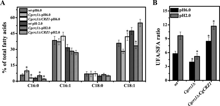 FIG 7