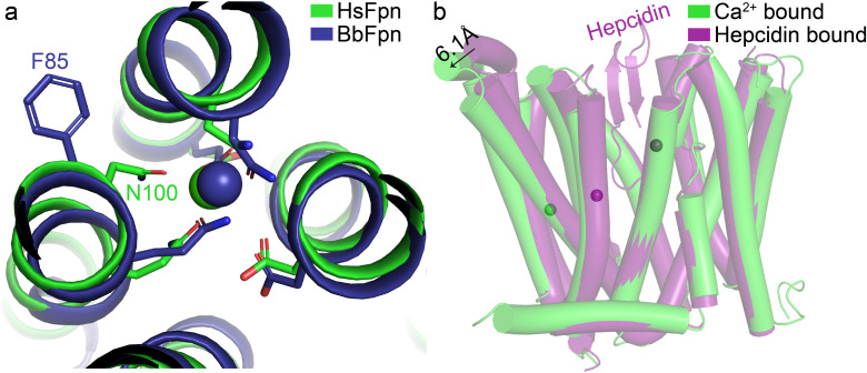 Figure 2—figure supplement 3.