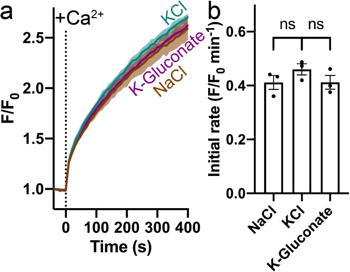 Figure 1—figure supplement 3.