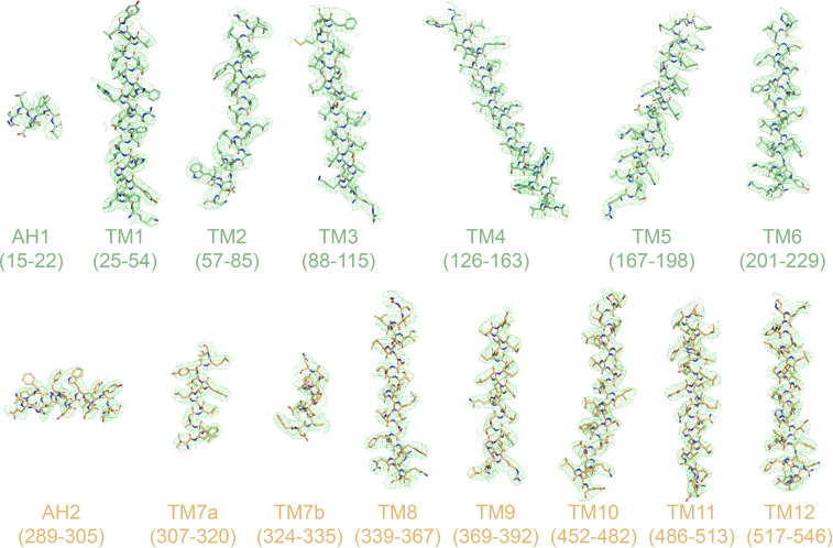 Figure 2—figure supplement 2.