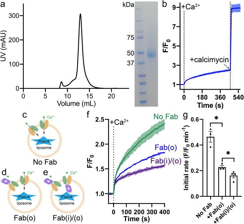 Figure 1—figure supplement 1.