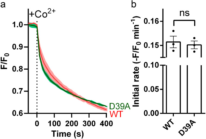 Figure 3—figure supplement 3.