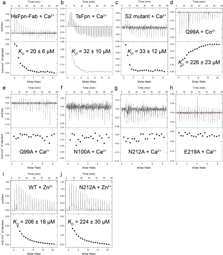 Figure 3—figure supplement 2.