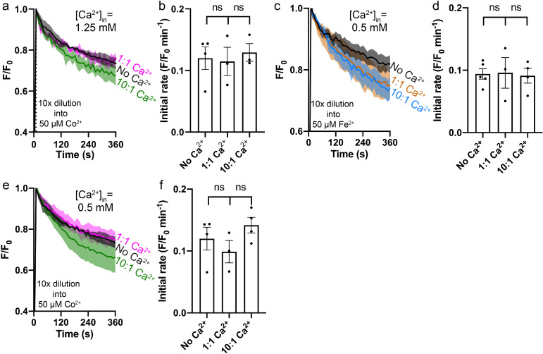 Figure 4—figure supplement 1.