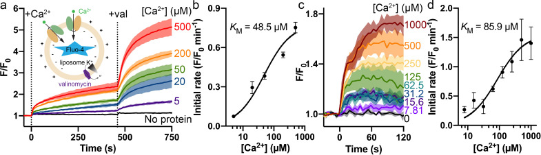 Figure 1—figure supplement 4.