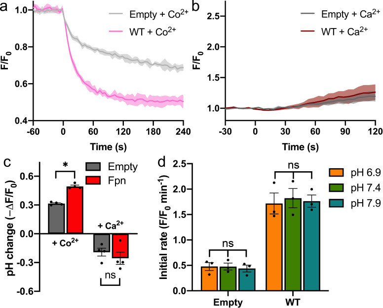 Figure 1—figure supplement 2.