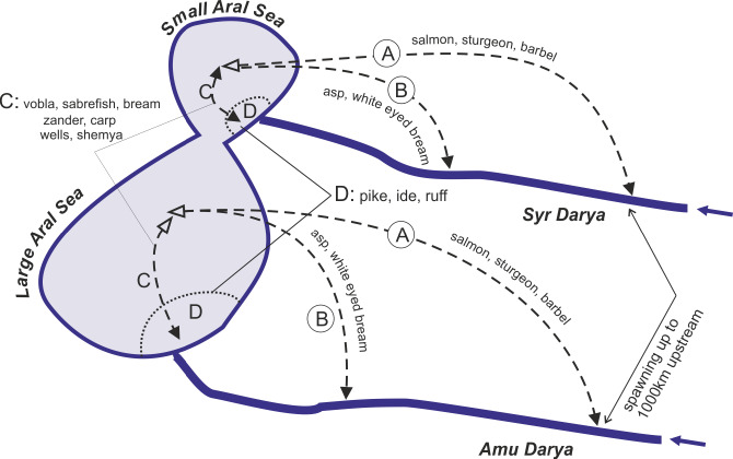 Fig. 5.