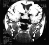 <i>Figure 1</i>