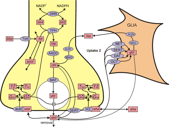 Fig. 1