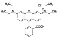 graphic file with name nanomaterials-11-02217-i001.jpg