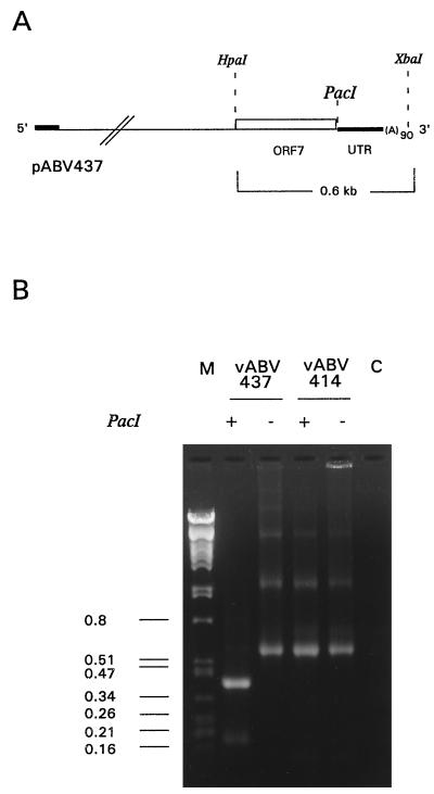 FIG. 6