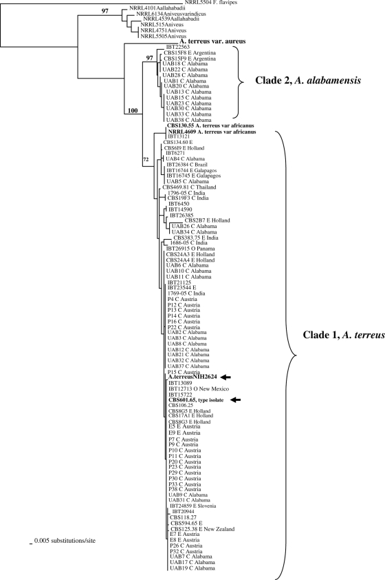 FIG. 3.