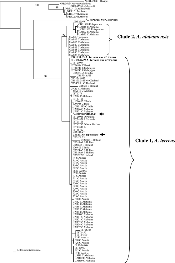 FIG. 2.