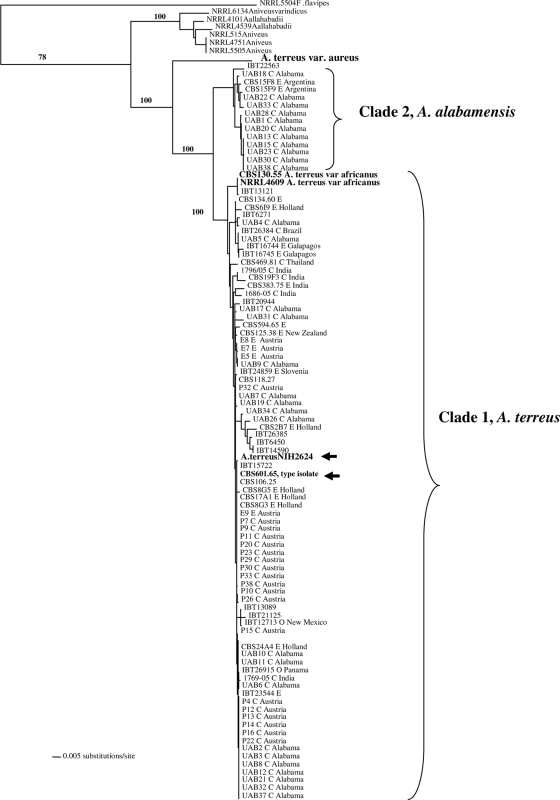 FIG. 4.