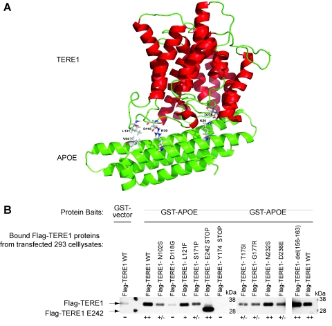 FIG. 7.