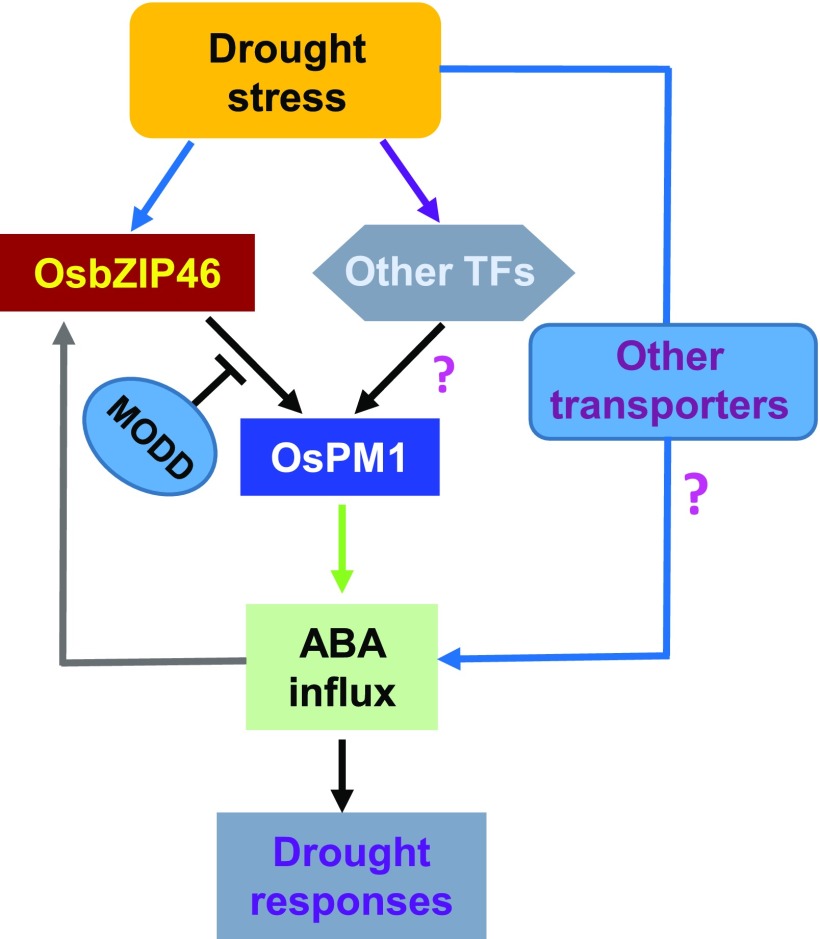 Figure 11.