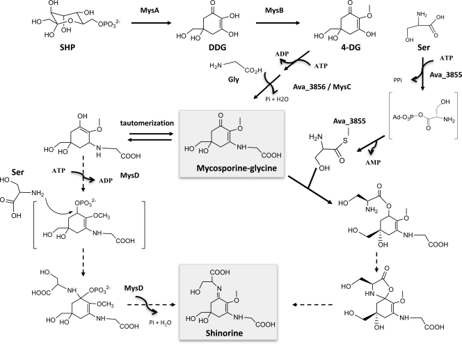 Fig. 4.