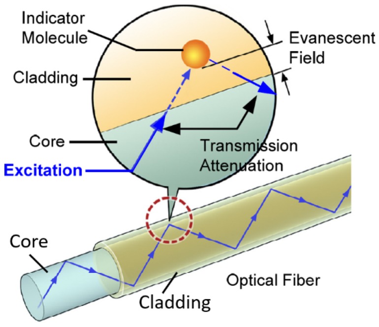 Figure 15