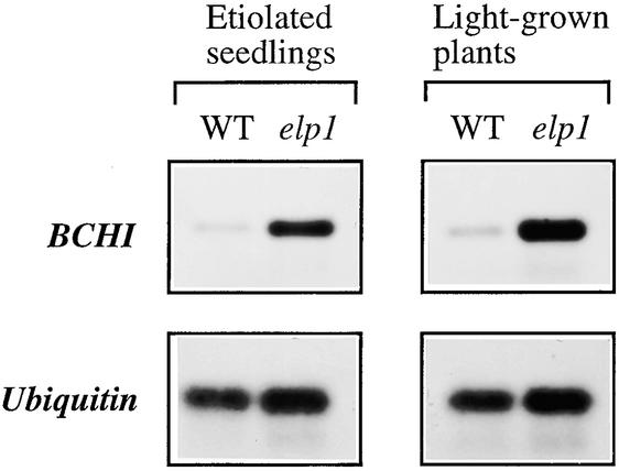 Figure 10.