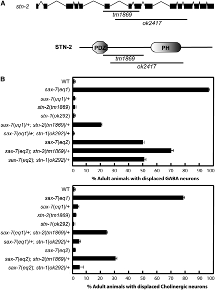 Figure 6.—