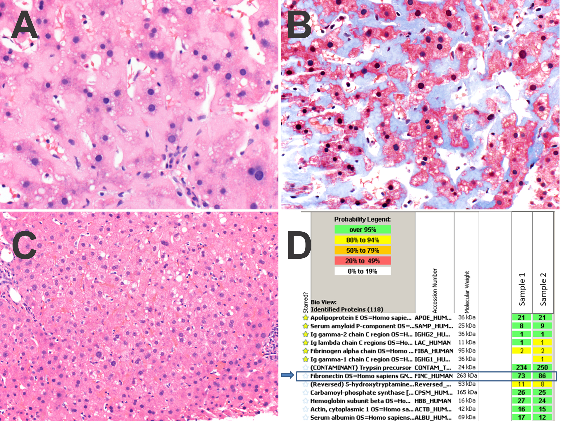 Figure 2. Case 2.