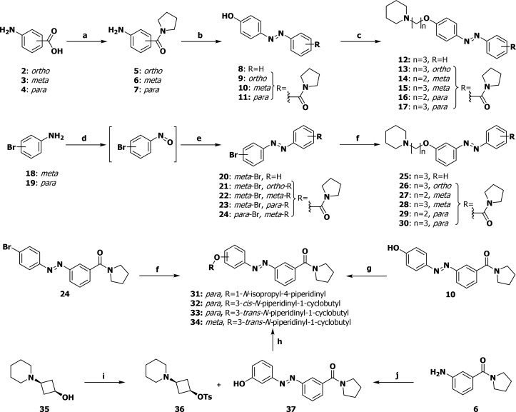 Scheme 1