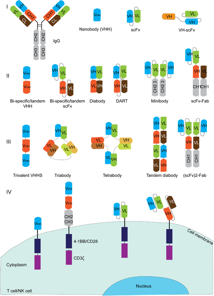 FIGURE 2