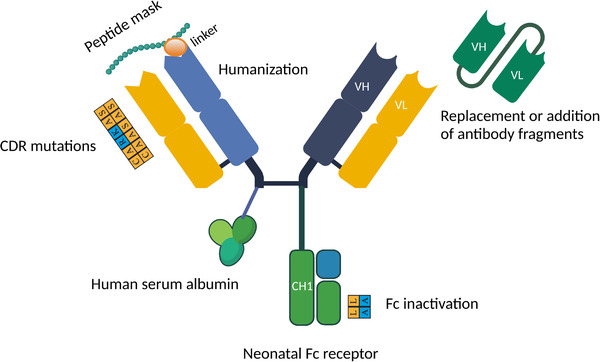 FIGURE 1