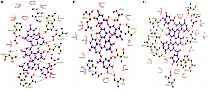 Figure 5