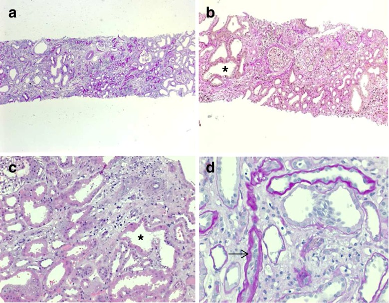 Fig. 9