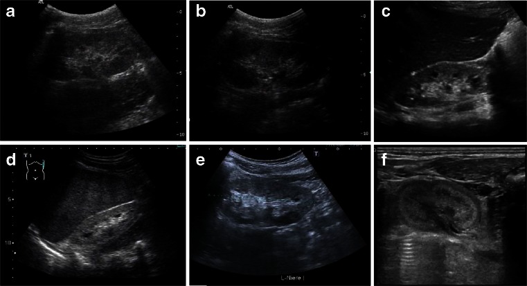 Fig. 8