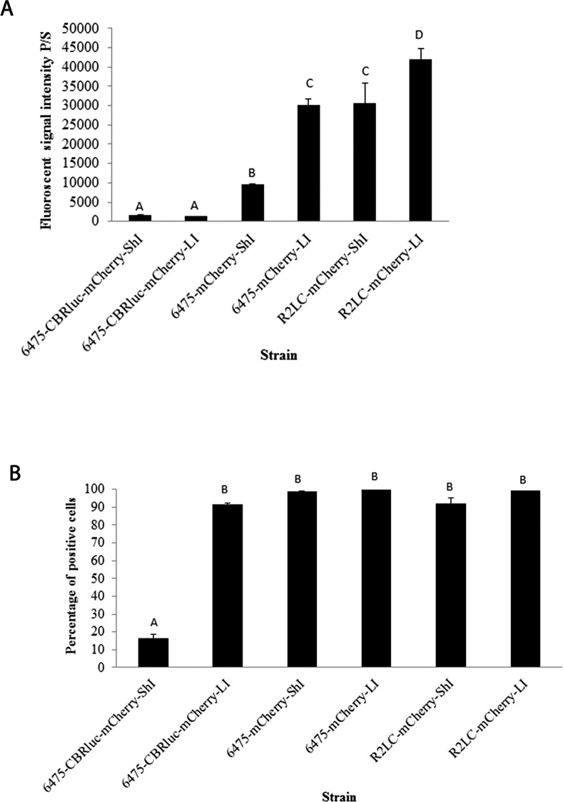 Fig 6