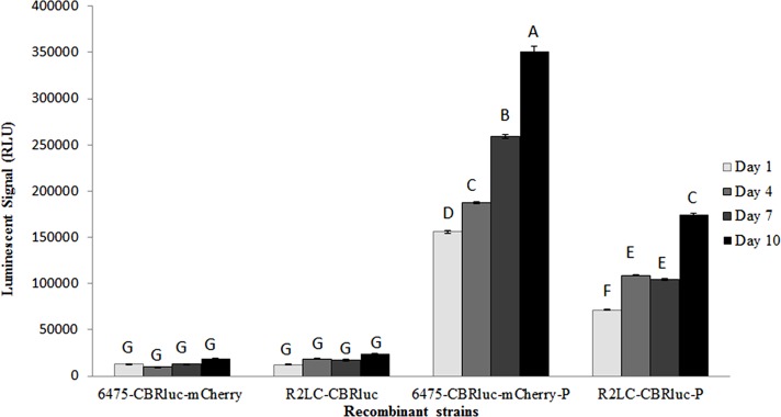 Fig 5