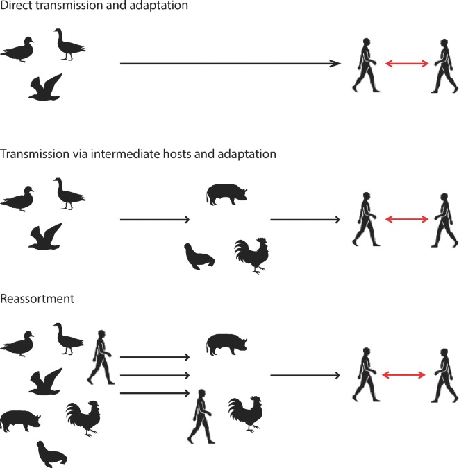 Figure 2.