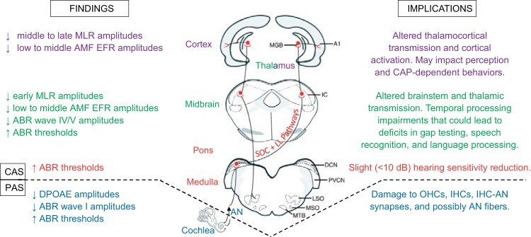 Fig. 11.