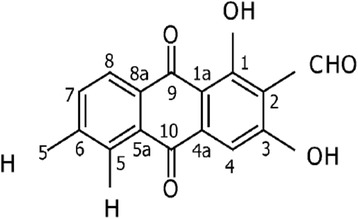 Fig. 1