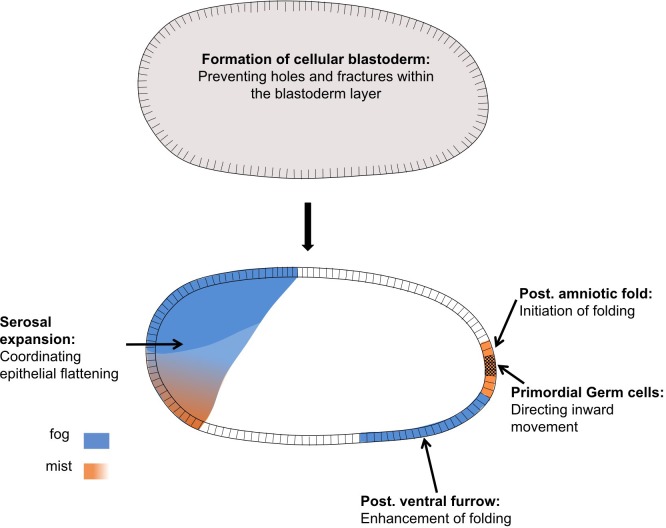 Figure 11.