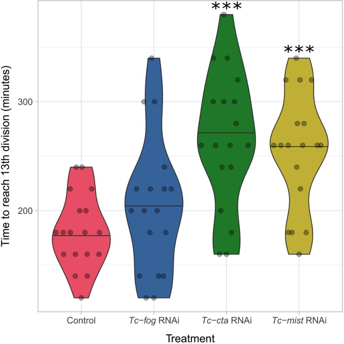 Figure 10—figure supplement 1.