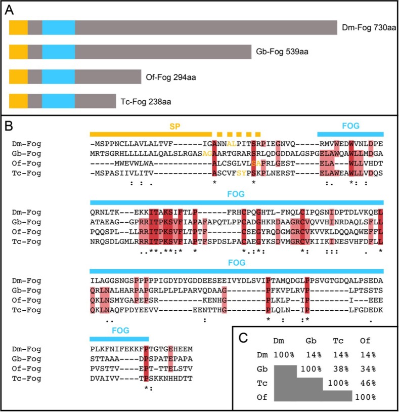 Figure 1—figure supplement 2.