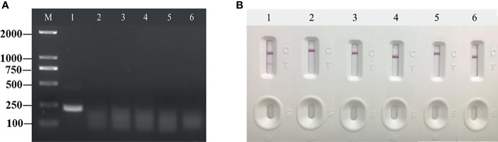 Figure 5